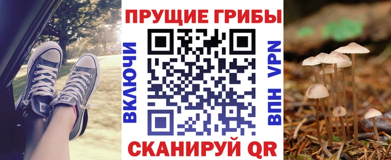 Псилоцибиновые грибы ЛСД Гатчина